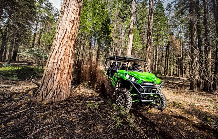 Kawasaki Teryx  4 Seater Side by Side!